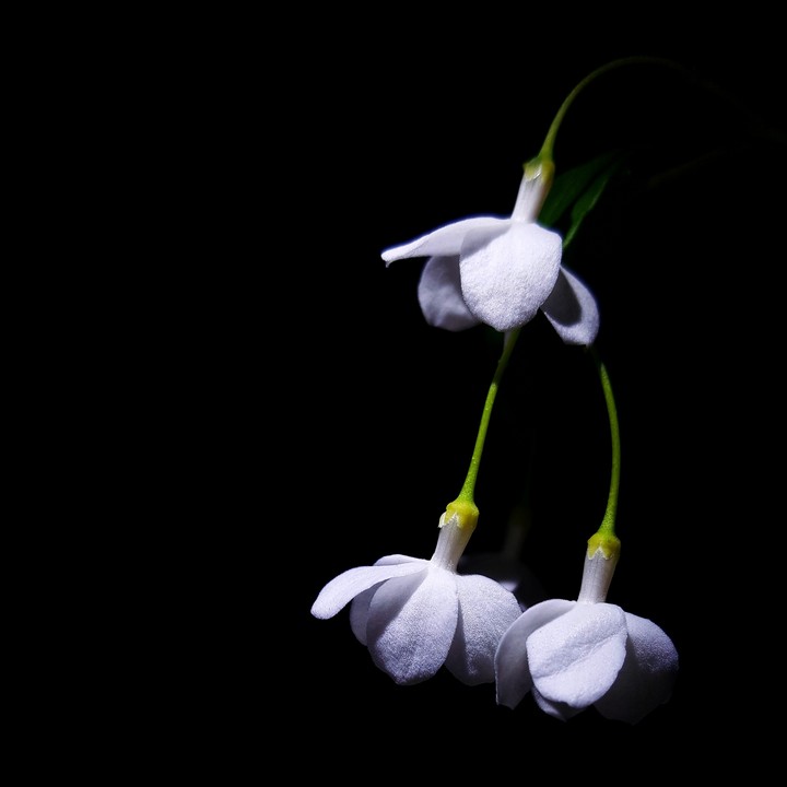 in the dark