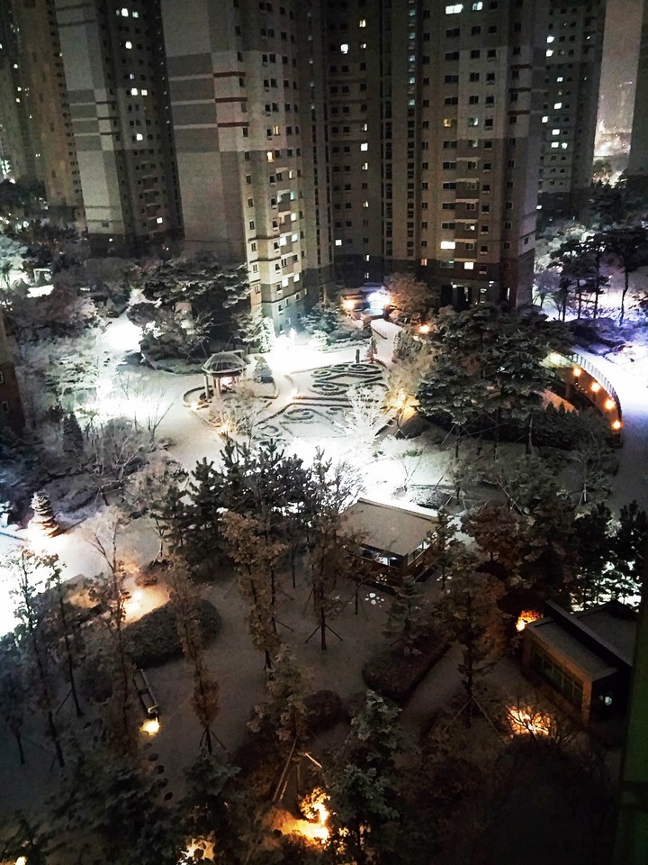 snow