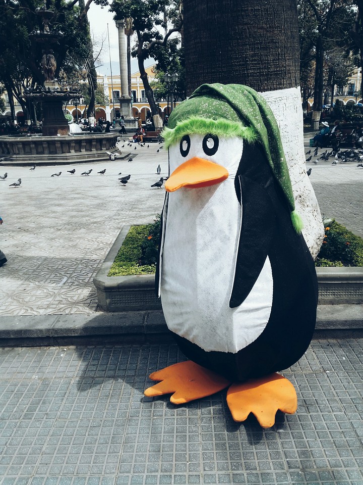 pingüino