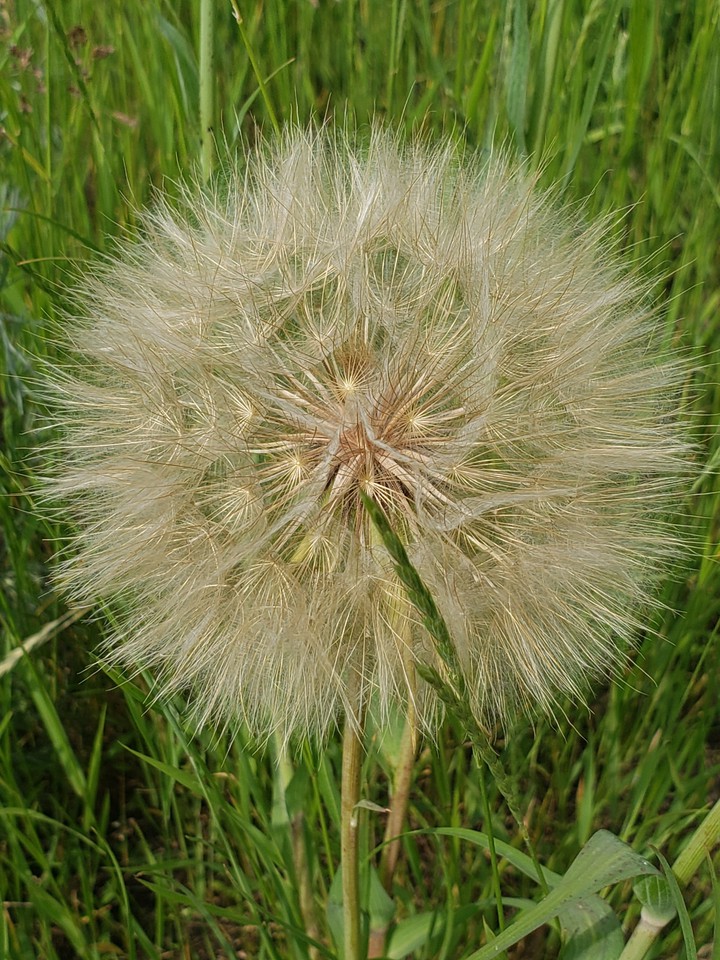 Лето