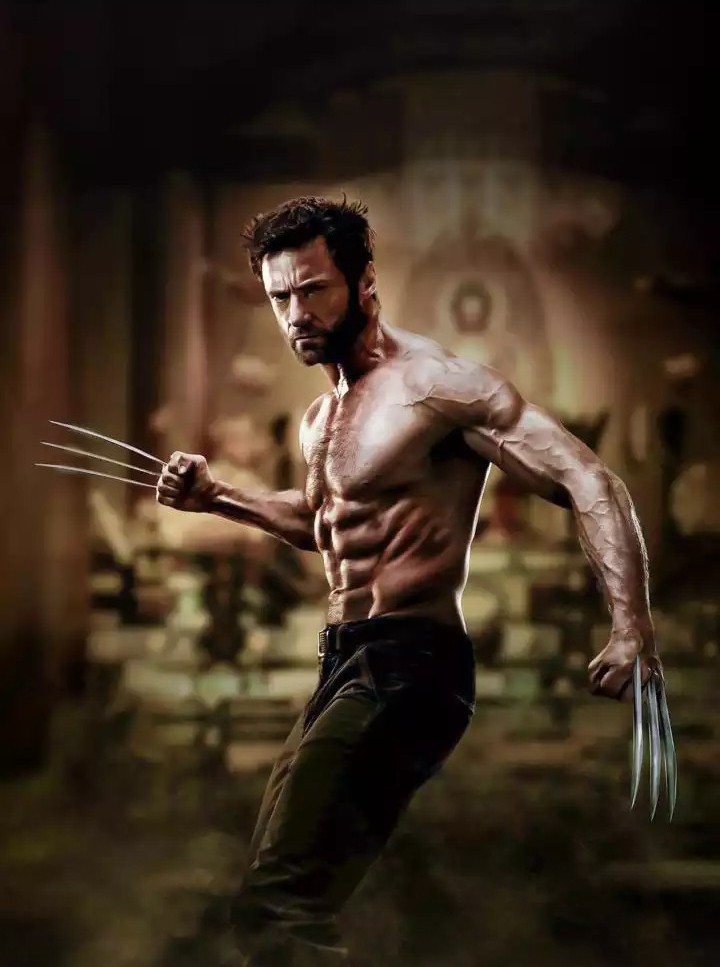 wolverine