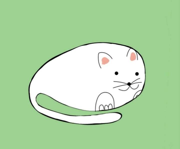 kitty cat