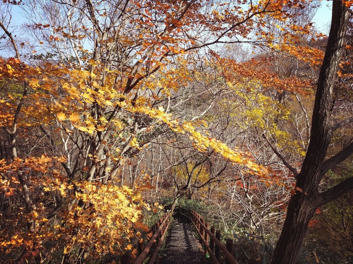 지리산