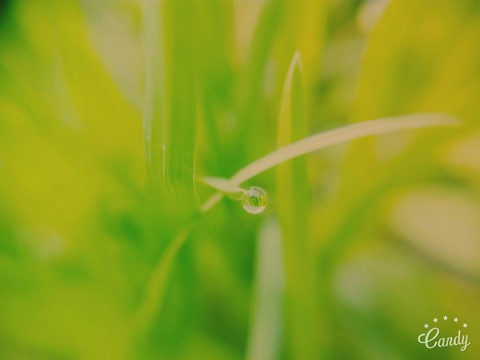 water drop