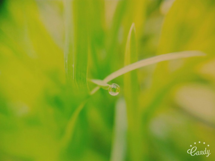 water drop