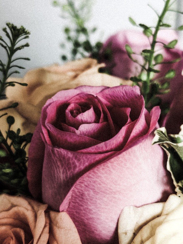 Rustic Rose