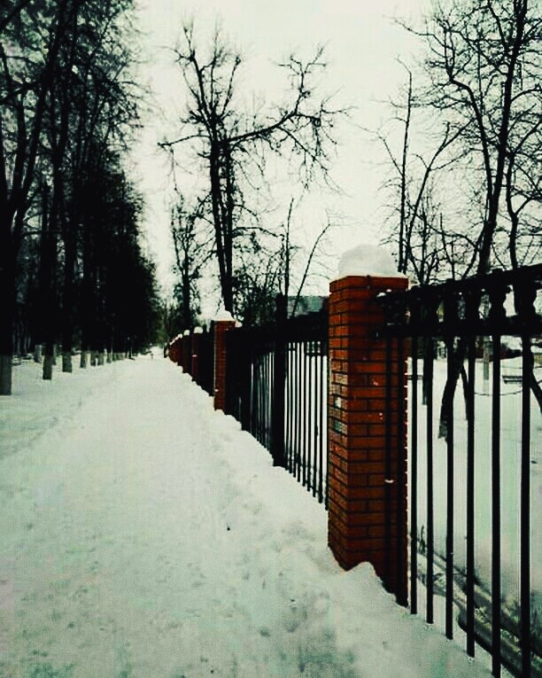 Winter