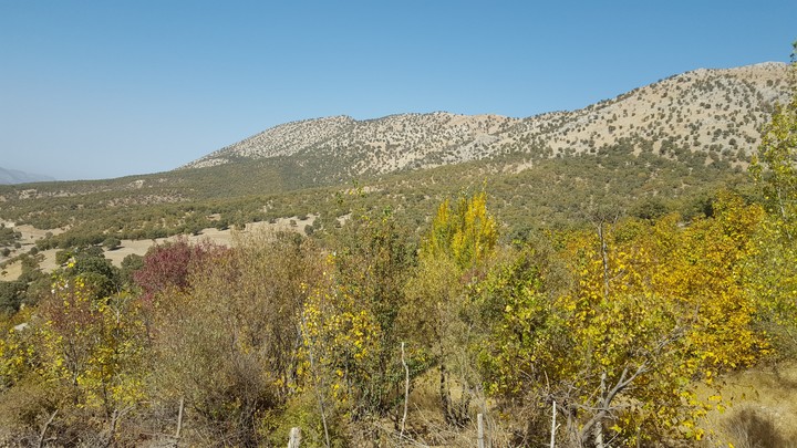 Paeez lorestan