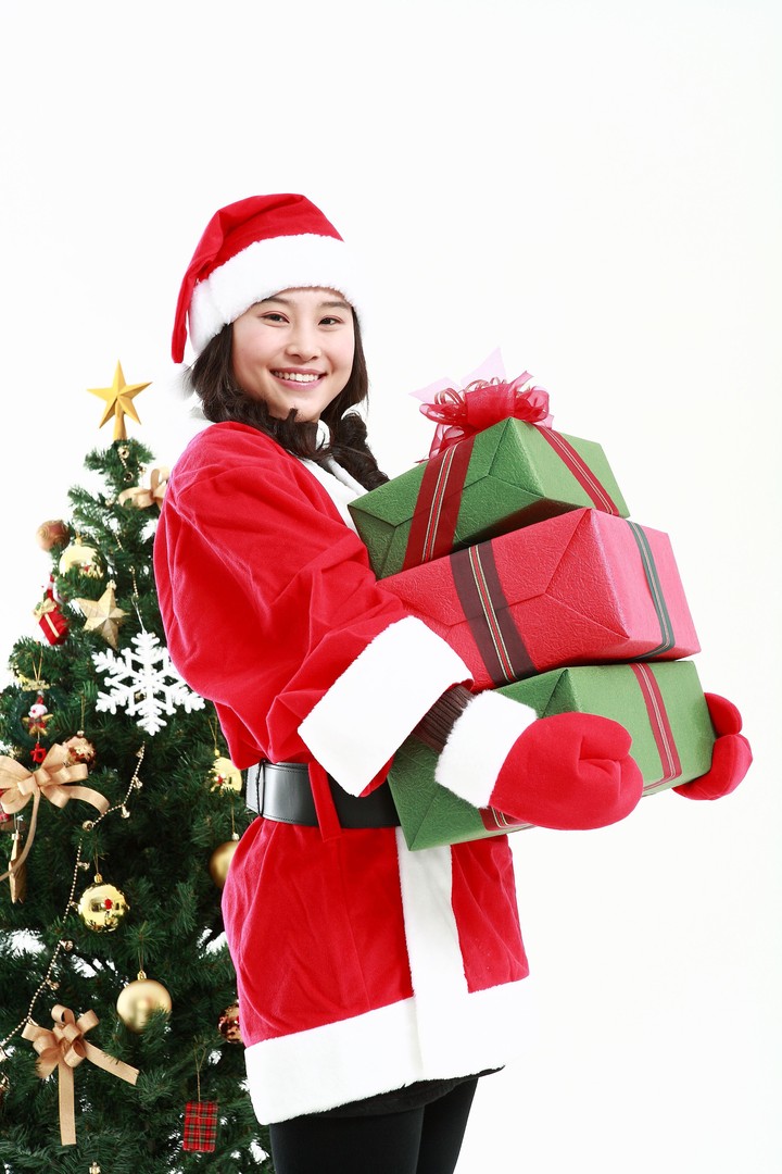 Christmas Costume