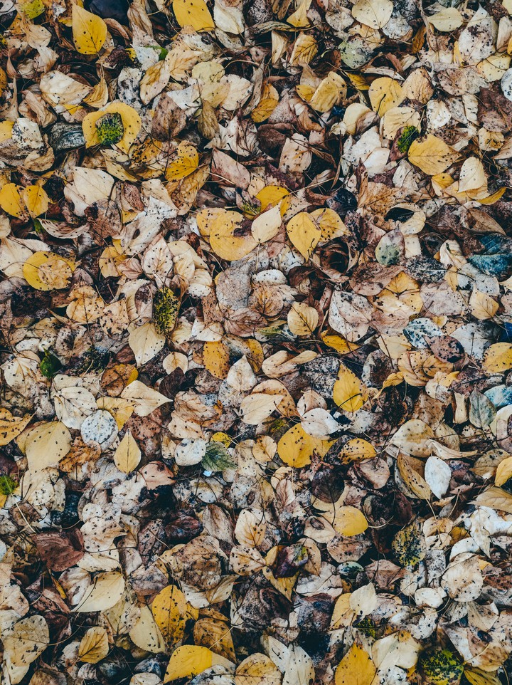 Summer moved on