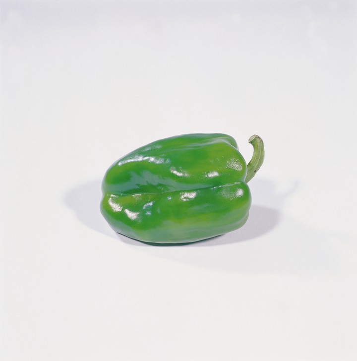 음식이미지
