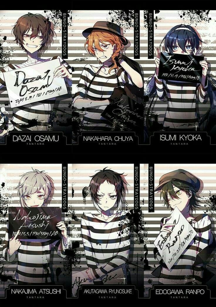 ☠bungou stray dogs☠
