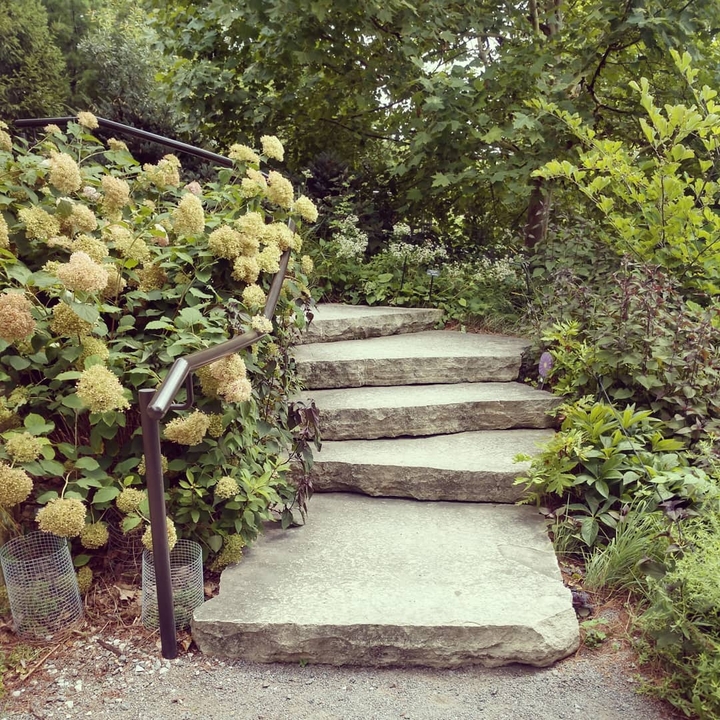 Nature Walk