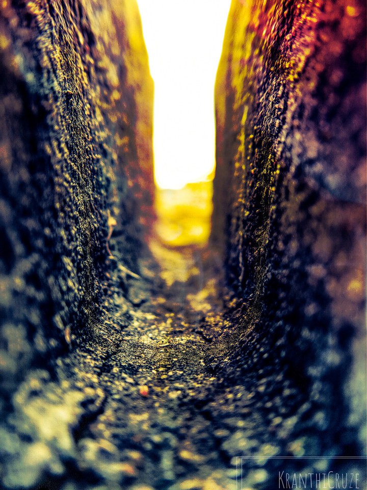 The Macro View