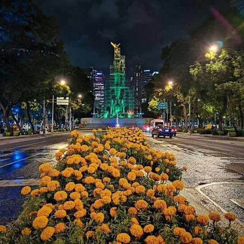 city, landscapes桌布