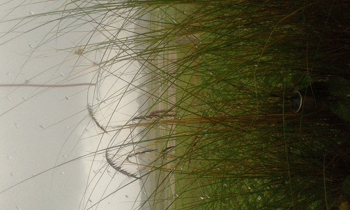 Desember Rain