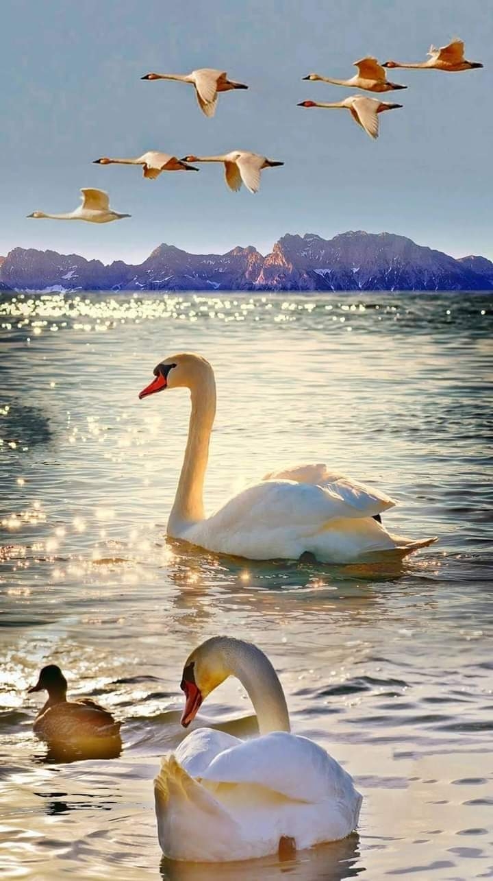 Linda foto!