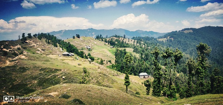 Himachal Dairies