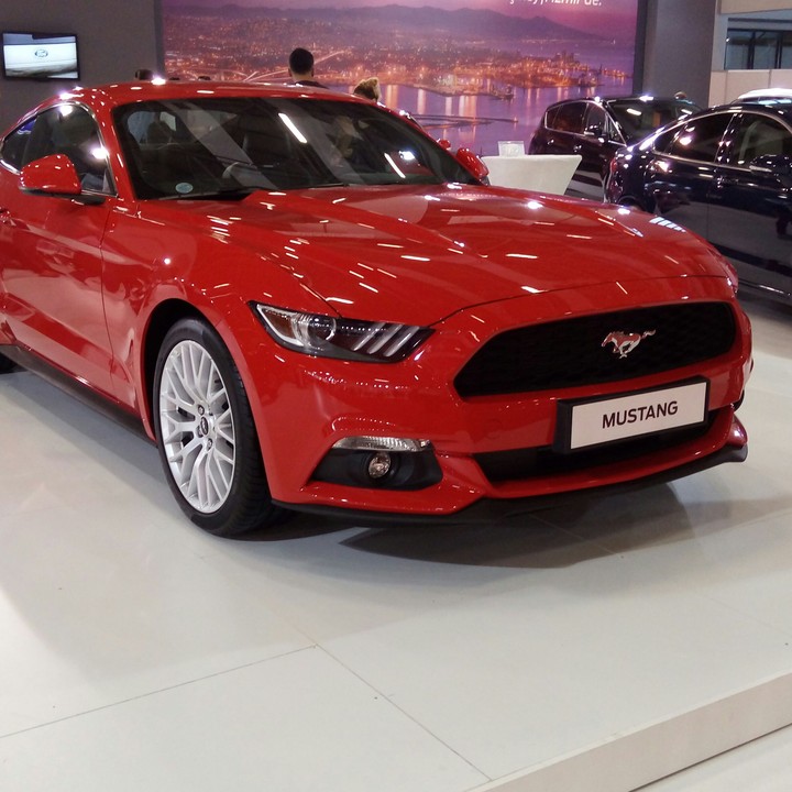 mustang