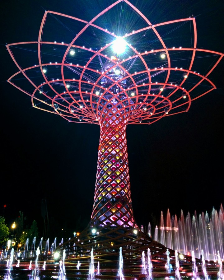Albero della vita - EXPO