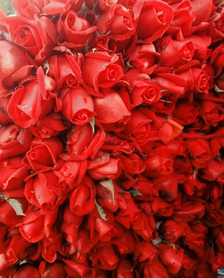 Valentine gift