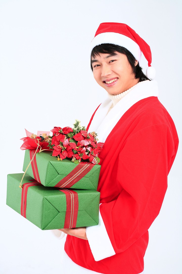 Christmas Costume