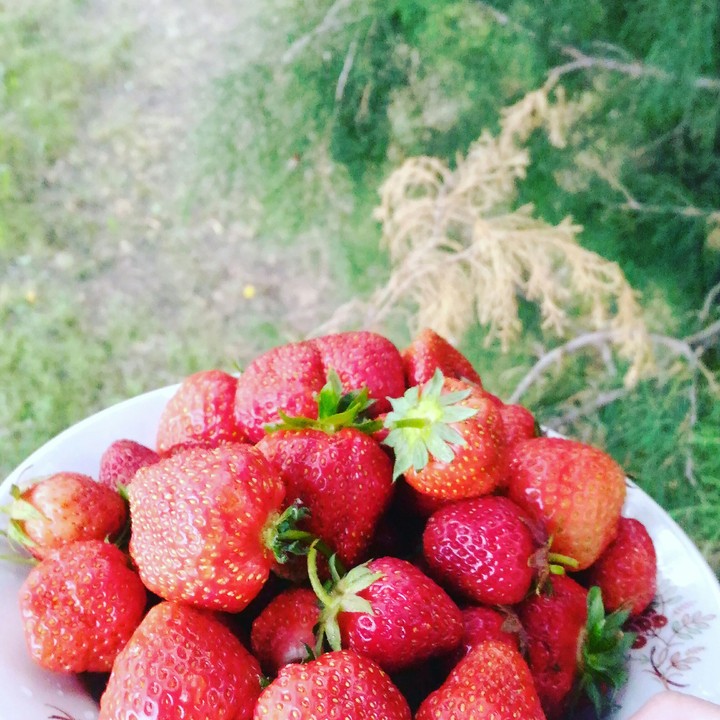 Strawberry