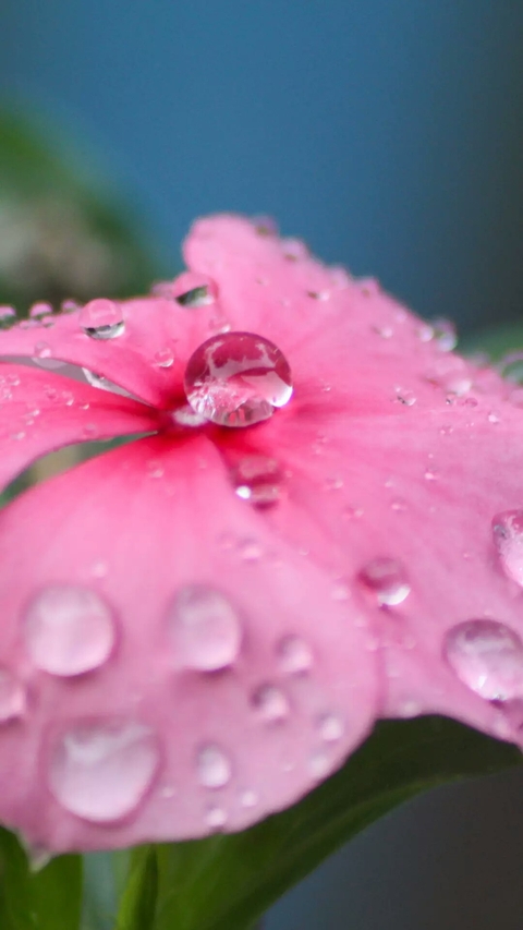 Raindrops