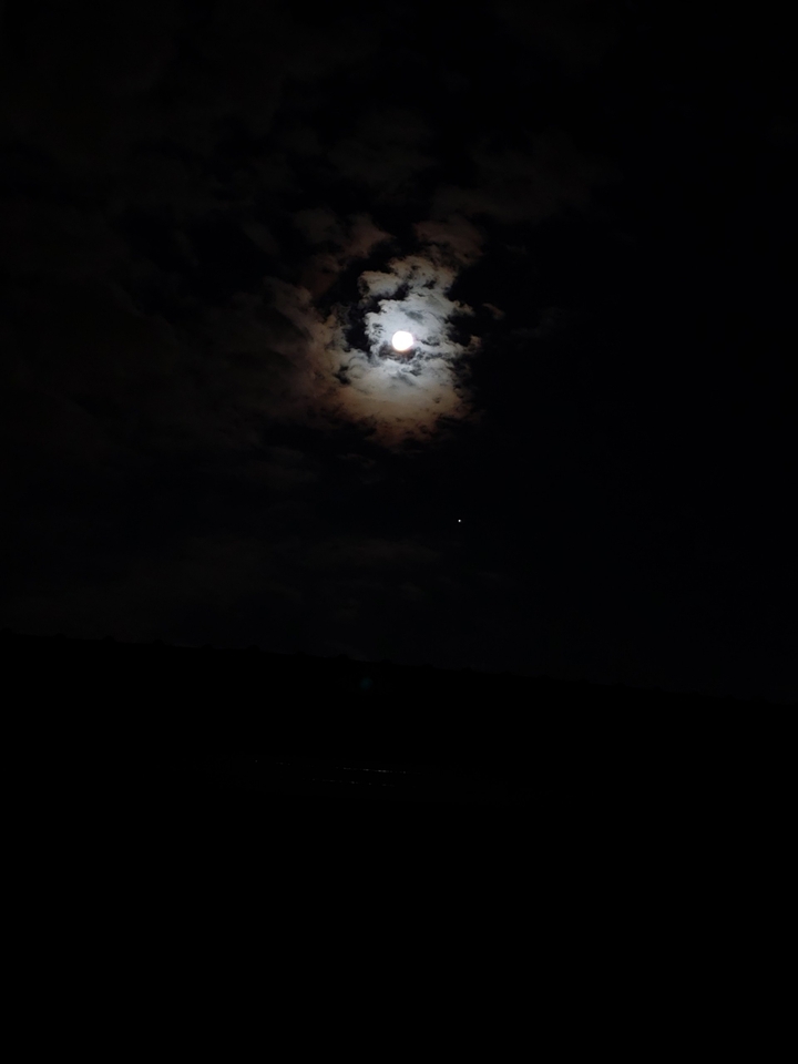 Moon Light Love