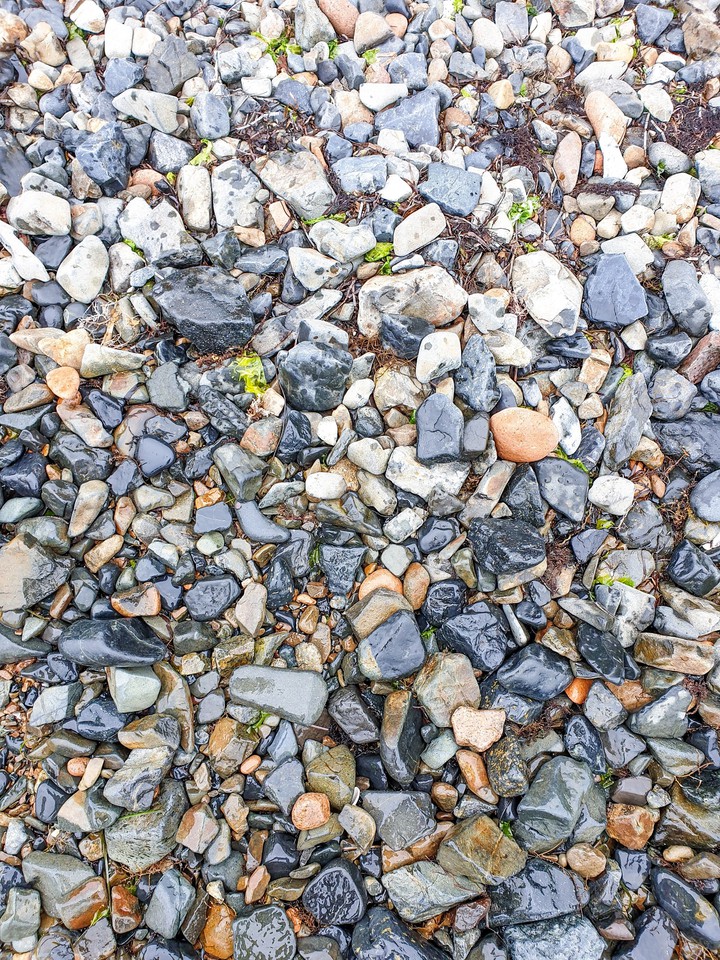 Sea