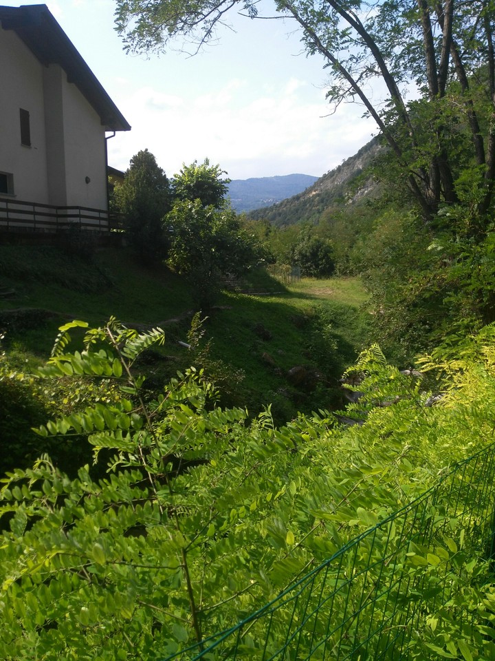 Canzo