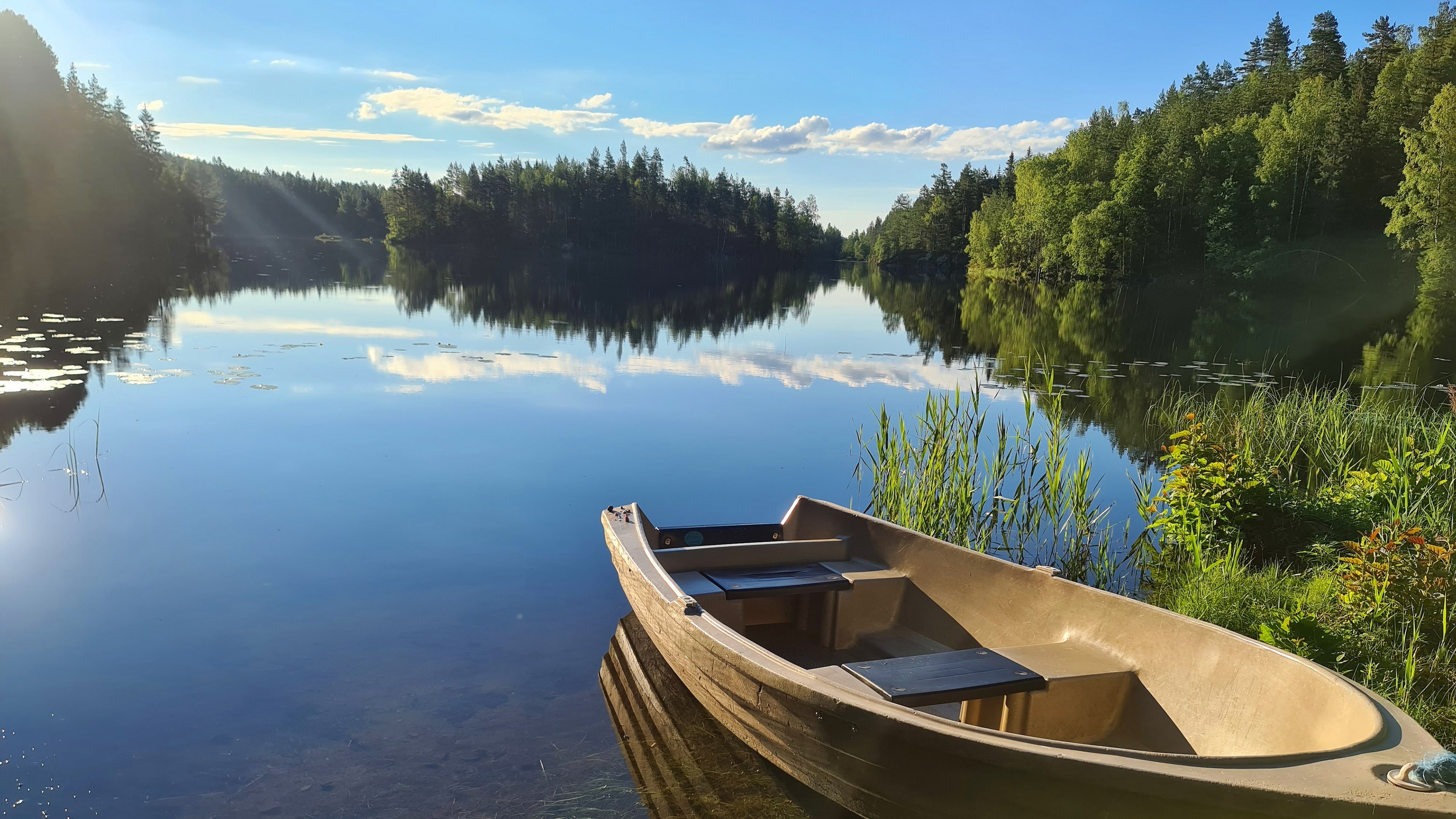tapety reflection, nature