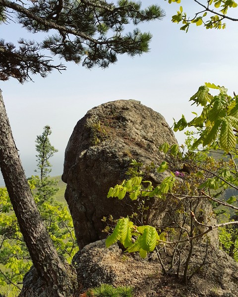 Прогулка
