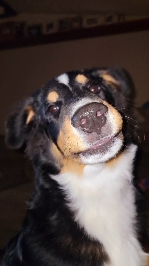 he hears something