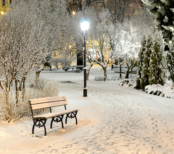 winter