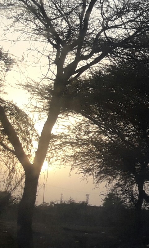 sun set