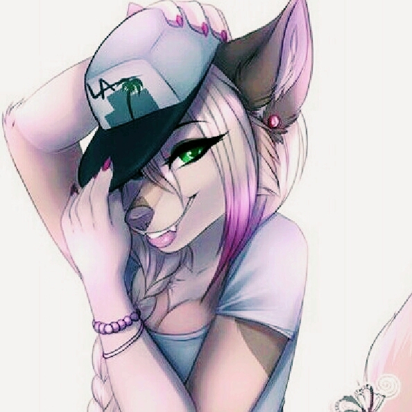 Cat cool