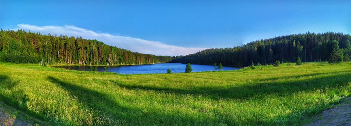 nature