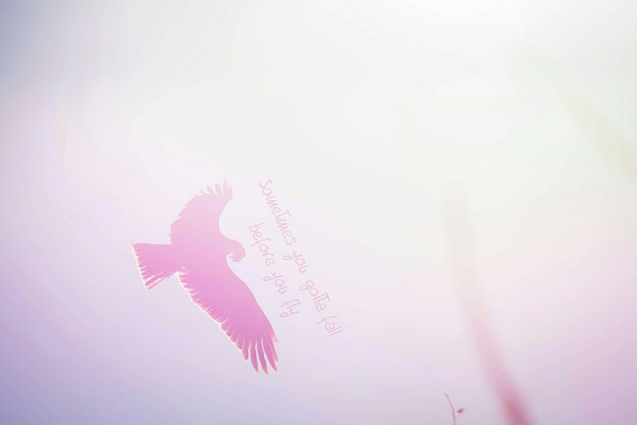 Fall and then fly