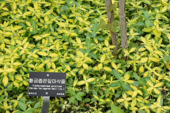 풍경이미지