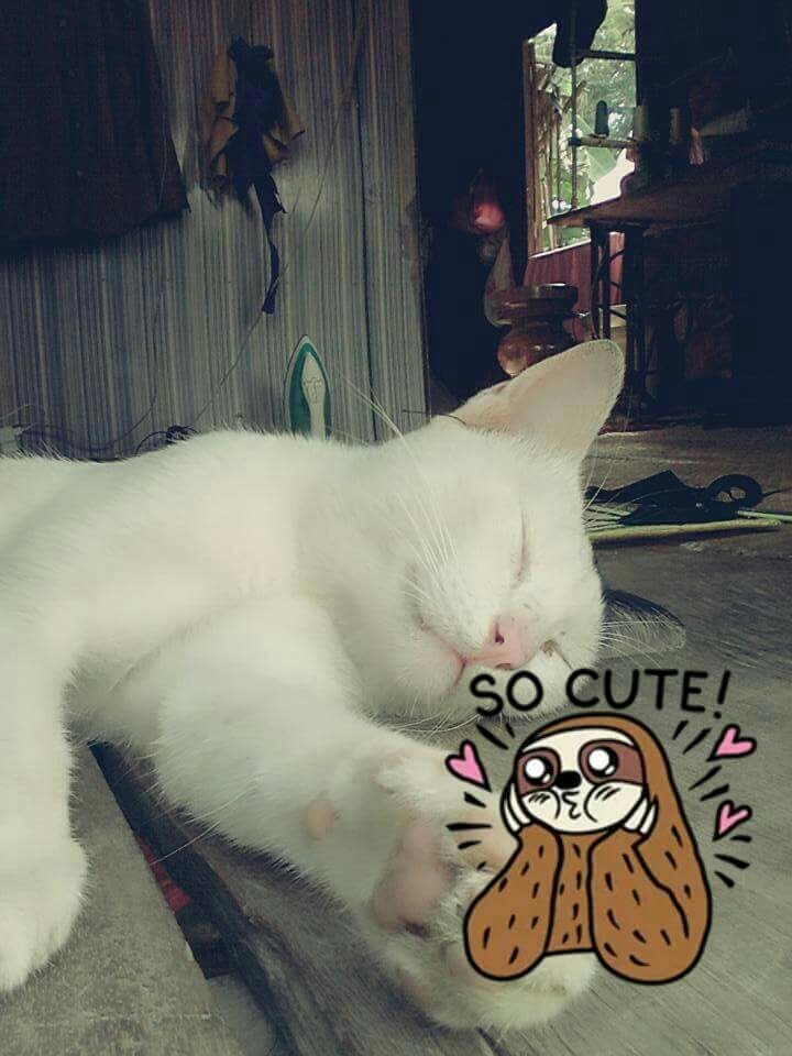 Pretty Sleep