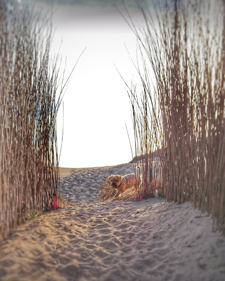 playa Marina beach con Peca??