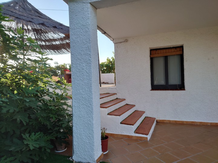 Día de Campo