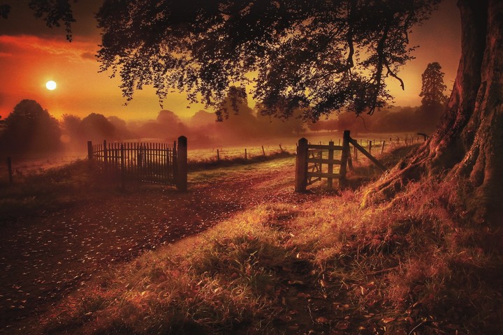 nature