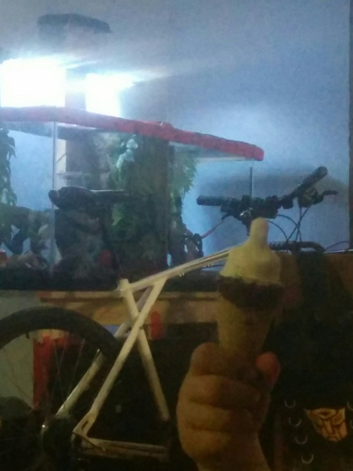 I love ice cream