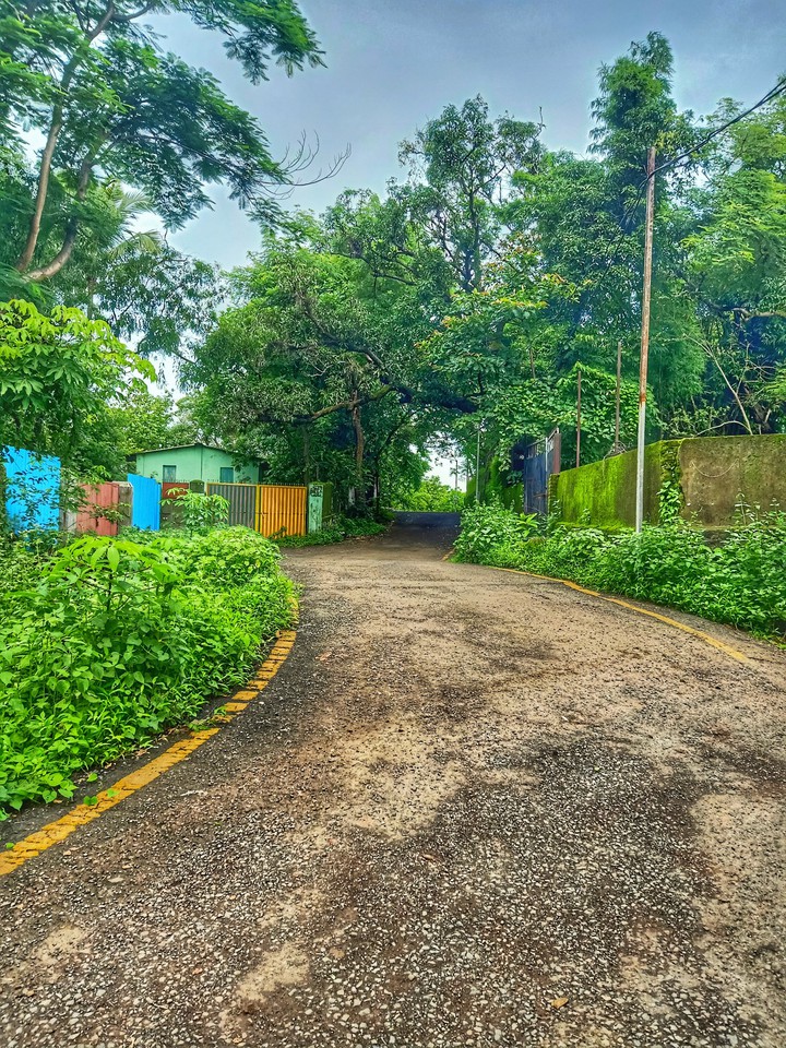 Village