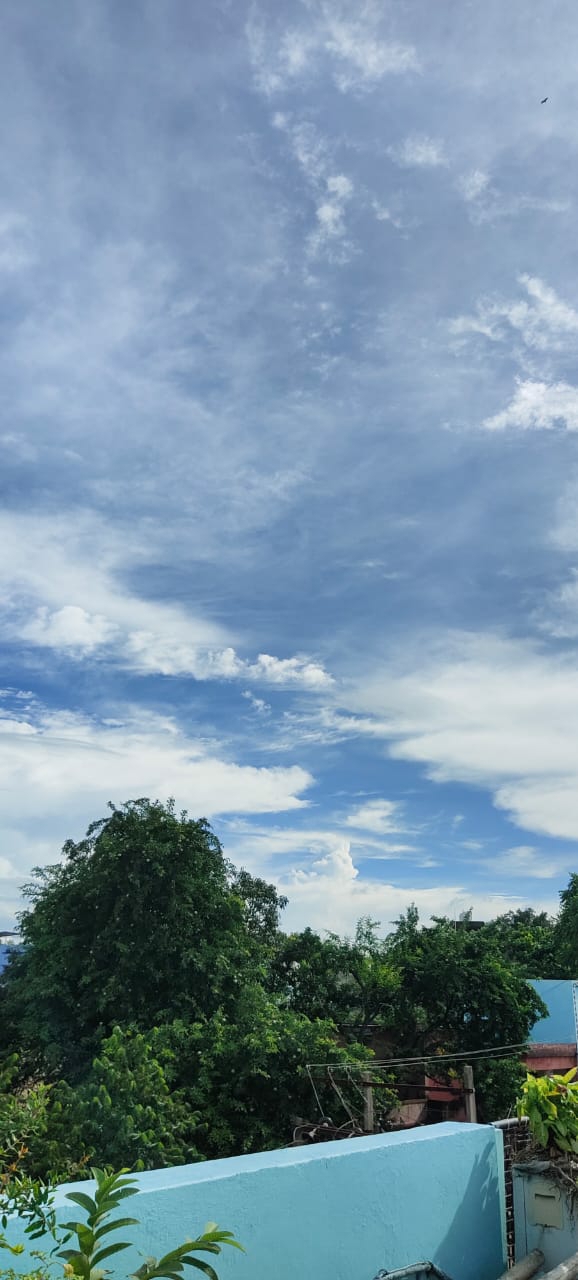 Nature