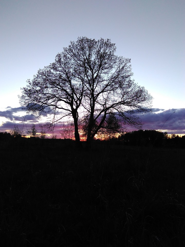 sky