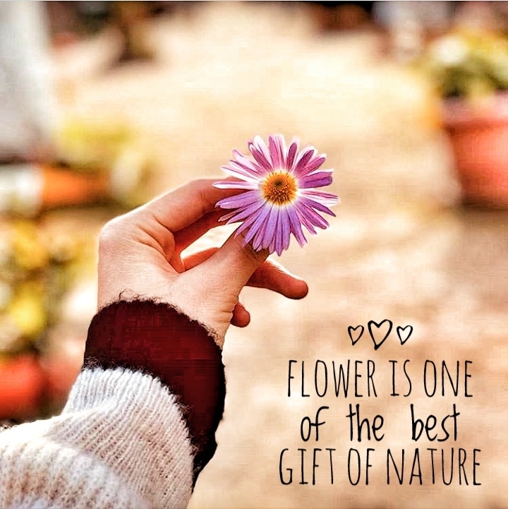 Flower