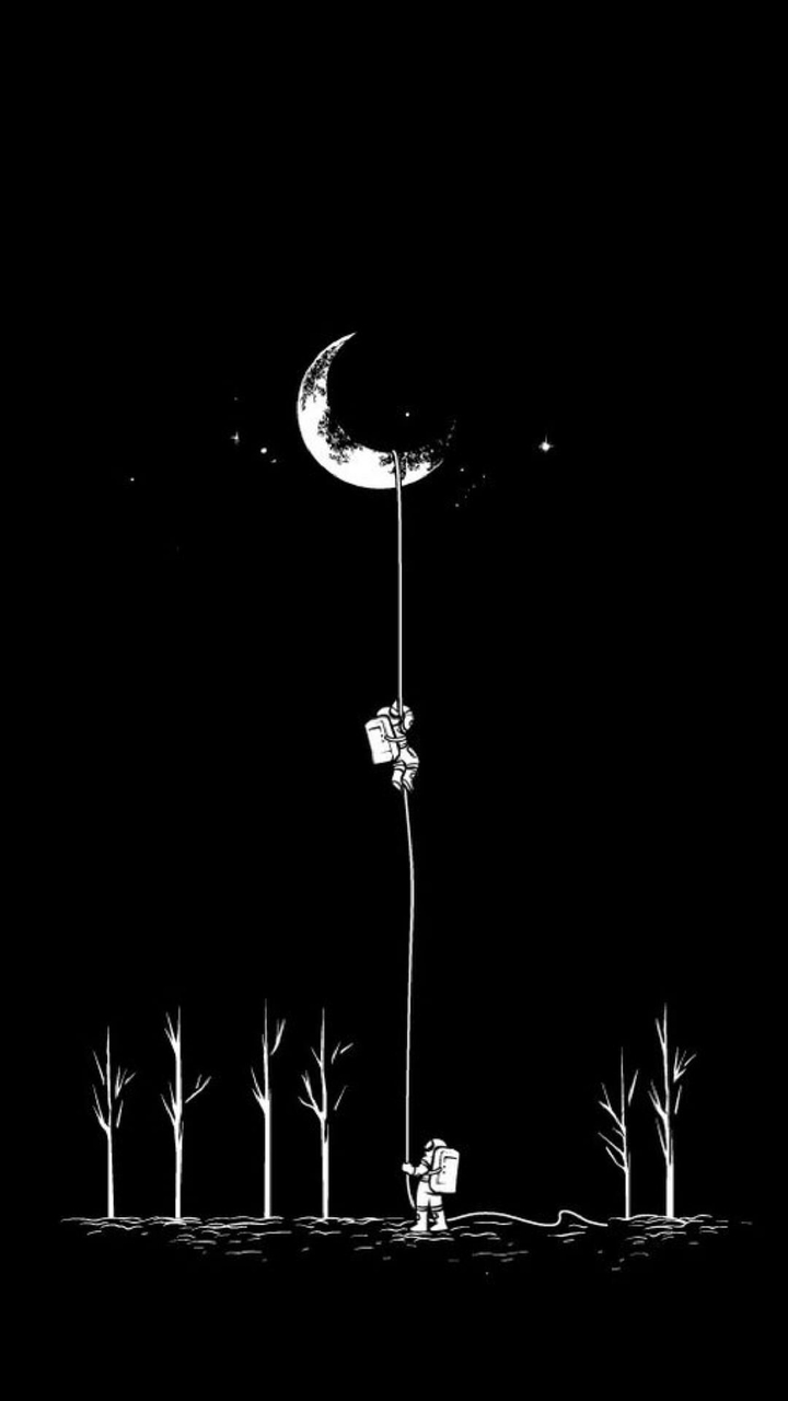claiming to the moon